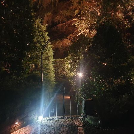 Rose'S Garden - Zona Tranquilla - Vicino Torino Apartment Pino Torinese Exterior photo