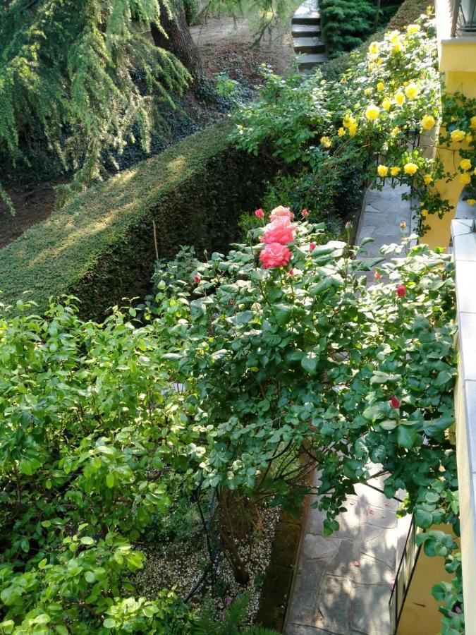 Rose'S Garden - Zona Tranquilla - Vicino Torino Apartment Pino Torinese Exterior photo